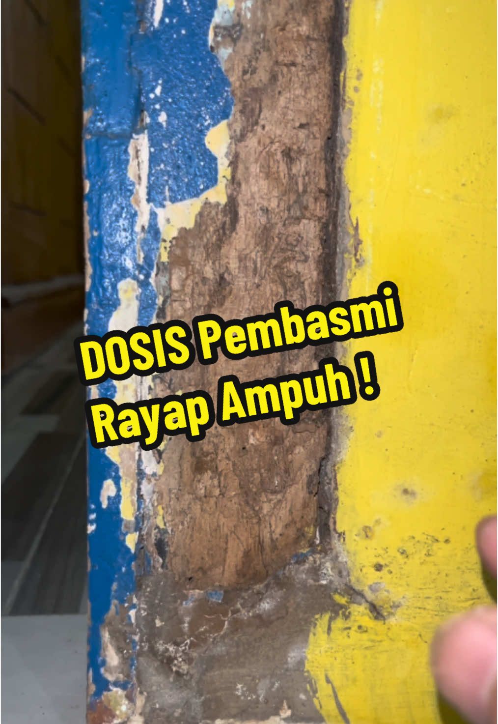 Segera gunakan dosis pembasmi rayap ampuh supaya furniture aman dari serangan rayap #pembasmirayap #antirayap #pembasmirayapampuh #sprayantirayap #cuantanpabatas 