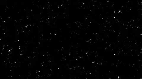 وسكيكيما ✌🏾✌🏾✌🏾#4u #كثره_اللصوص_مصيبه #كثرو_الحرامية #الزعابي #fyp #funny #foryoupage #اغاني_عراقيه 