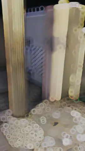 Watch till end memories #karanchhetri #bt_haina_hai #fyp #capcut_edit #global 