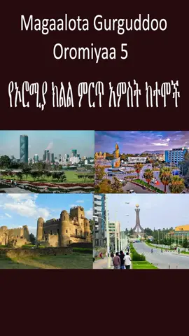 #ethiopiatop10  Top 5 cities in Oromiya የኦሮሚያ 5 ትልቅ ከተሞች  Magaalota Gurguddoo Oromiyaa 5 #top5citiesinOromiya #top10ethiopia #top5ethiopia #ethiopiatop5 #ethiopiatop10