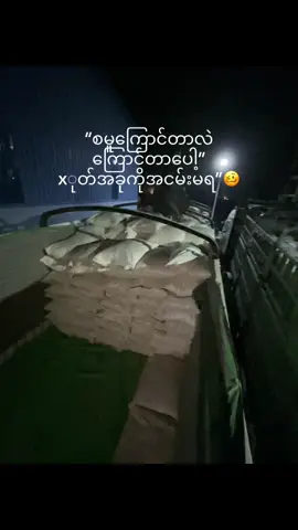 စမူကြောင်လေ🥴#ညီလေနားတတ်ရင်ဆရာခိုဆောင်#စောက်ဖုတ်ကြောင်နေတဲ့ညီလေ#fyp #swanpyae 