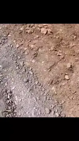 #funnytok #Repost #Meme 