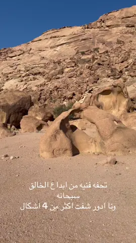 #تحفه فنيه من ابداع #الخالق سبحانه#صخره في #السعوديه #سياحه 