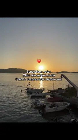 Ölüm bizi ayırana kadar senden vazgeçmicem❤️‍🩹💐🤍🌹🫶#herkesinkeşfetinedüş #keşfetbeniöneçıkar #keşfetteyizzz 