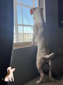 🤭