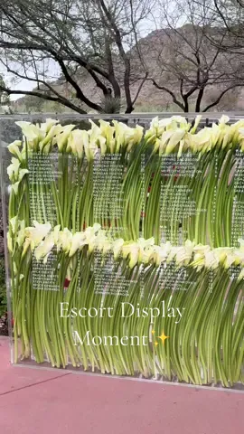 Theres just something about this escort display.... #weddingtiktok #weddingtrends #weddingfloral #weddingdisplay #bridetobe #weddingdetails #weddingflowers #phoenixaz #arizonawedding #weddingplanner #outdoorwedding #weddinginspo 