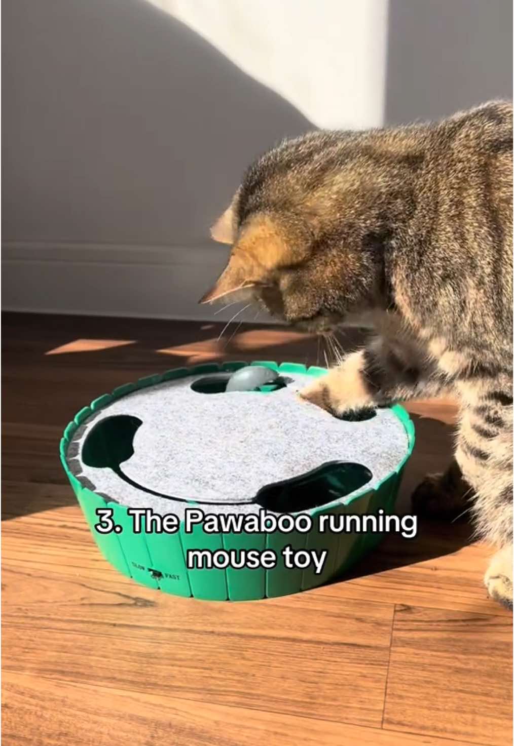 🔗 in bi0 to get your own!! 🫶 @pawabooofficial  #atabbycatnamedtiger #cat #cutecat #catfinds #pawaboo 