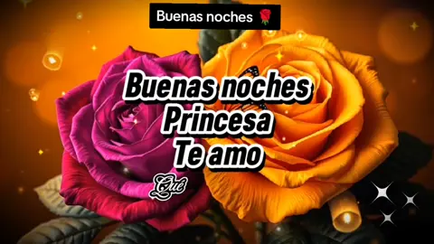 Buenas noches princesa ♥️🌹 #buenasnoches #dulcessueños #hastamañana #besitos #unrinconparaamar #cosasdenovios #buenosdias #parejas #cosasdeparejas #promesadeamor #romance #frases #frasesamor 
