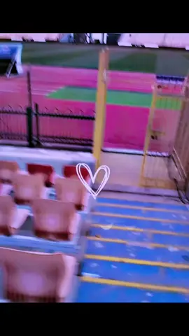 #استاد_القاهره_الدولي 