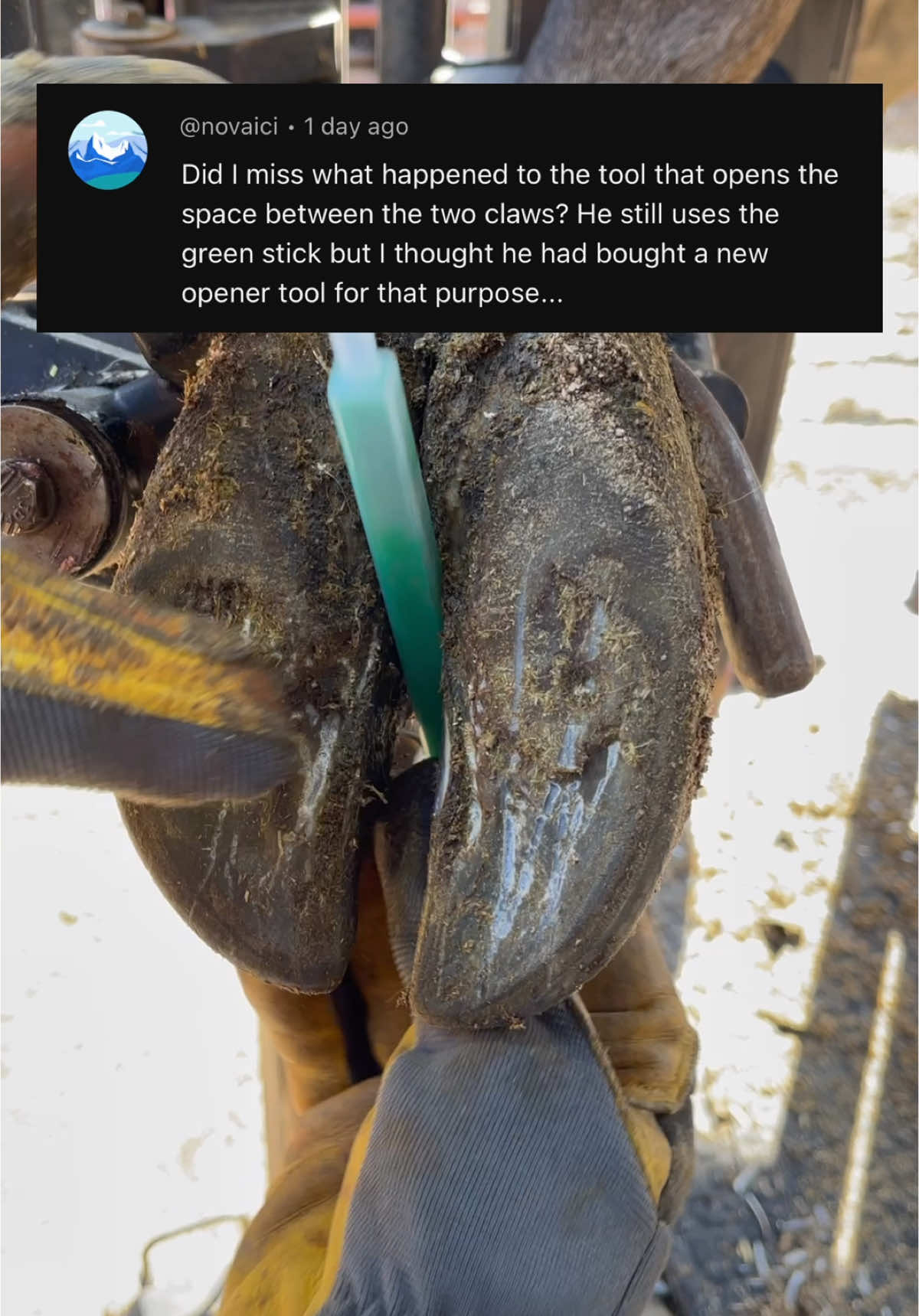 Mixing tip or claw retractor… #natethehoofguy #fyp #foryoupage #hooftrimming #hoofcleaning #hoofpicking #oddlysatisfying #bedtime #naptime #hoofcare 