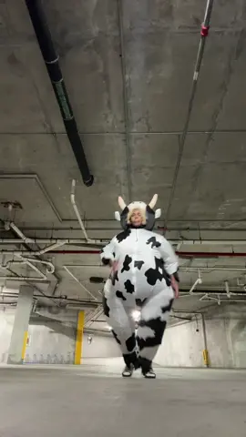 Cow rock #alibaba💫 