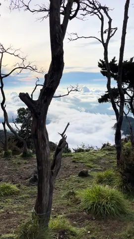 pov: pagi di lompobattang #foryoupage #lompobattang2874mdpl 