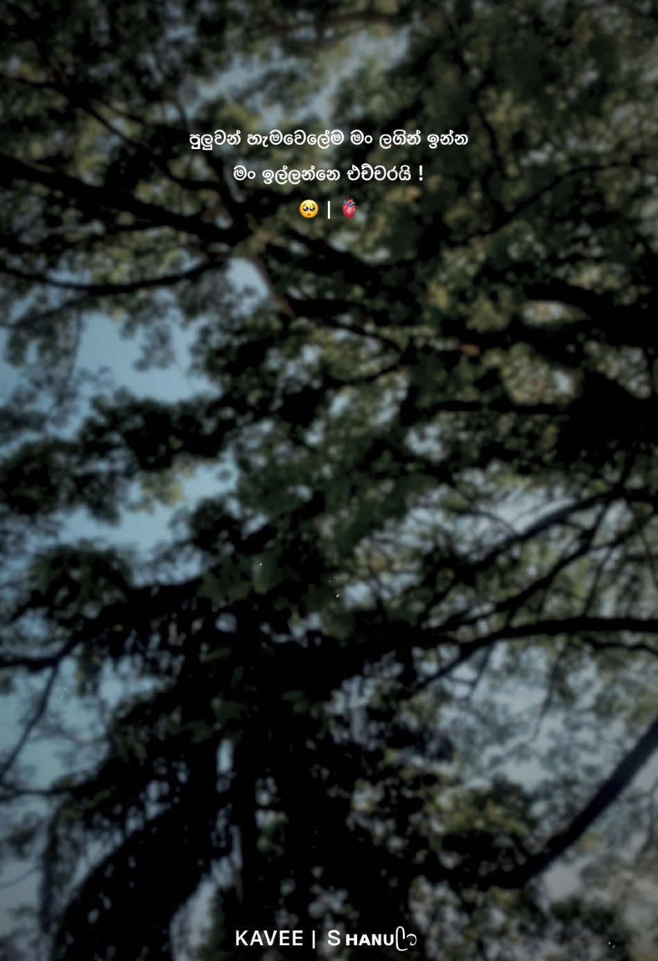 🥺🫀#KAVEE | Ｓʜᴀɴᴜᥫ᭡ #trending #ti̇ktok #viral #milion #12k 