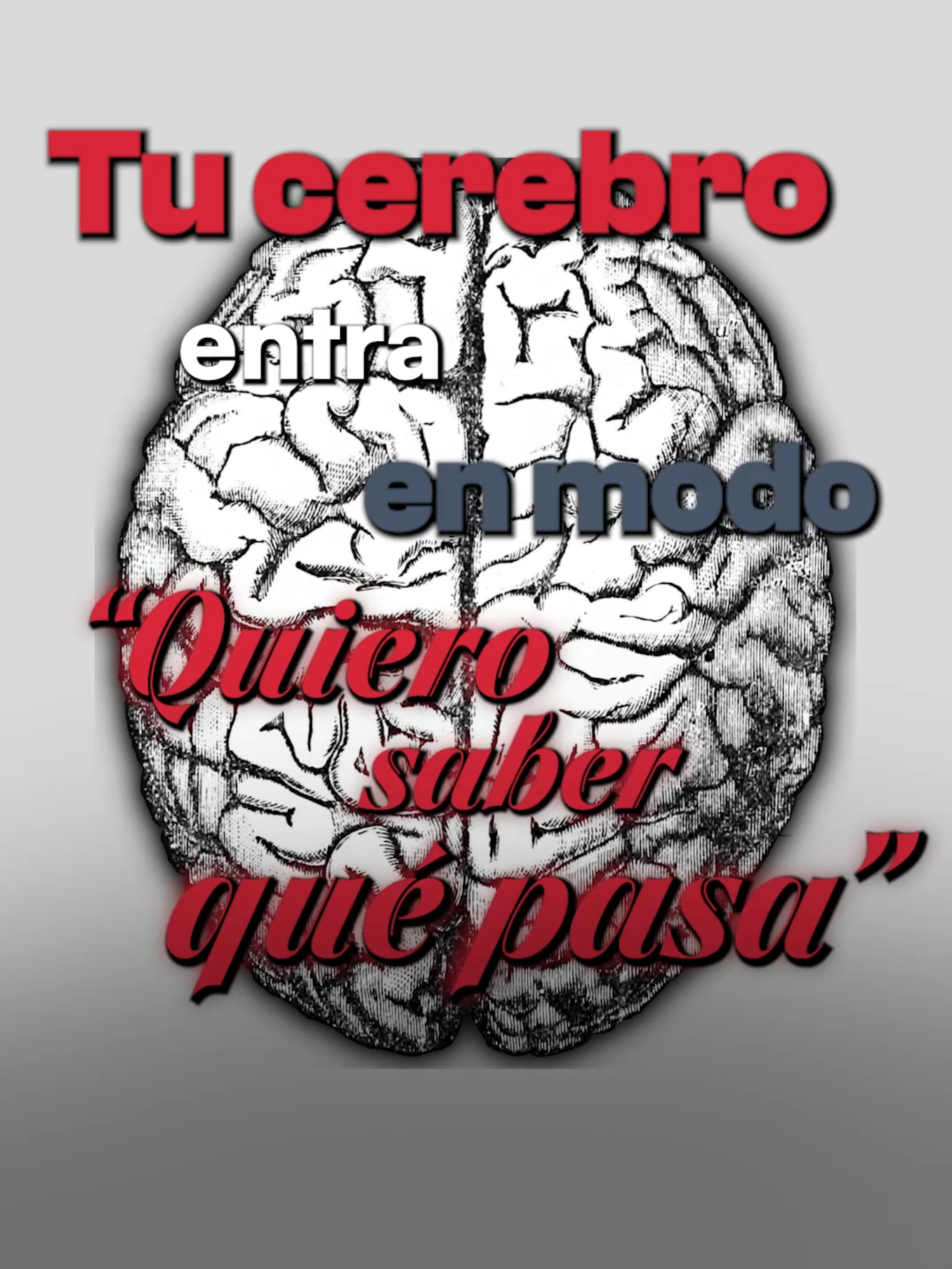 MrBeast no es viral por casualidad. Hay un truco que usa en todos sus videos para hacer que no puedas dejar de mirarlos… y hoy te lo cuento. El tipo entendió cómo funciona nuestro cerebro con el contenido, y aplica esta estrategia todo el tiempo para romper el algoritmo. 🔥 Si te interesa aprender cómo hacer que la gente se quede mirando tus videos y el algoritmo te impulse, seguime que subo contenido como este todas las semanas. #MrBeast #Algoritmo #CrecerEnRedes #Viralidad #MarketingDeContenido #EstrategiaDigital #GrowthHacking