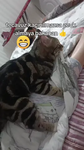 🤣🤣🤣🤣🤣🤣