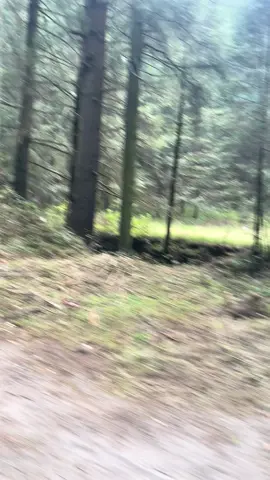 No sé qué se siente ser olvidada… 