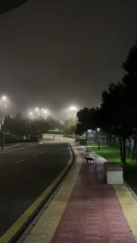 #الباحه 