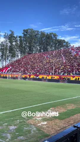 #vitoria #tu #bahia #brasil #brasil🇧🇷 #amor #paixao #salvador #nordeste #mundo 