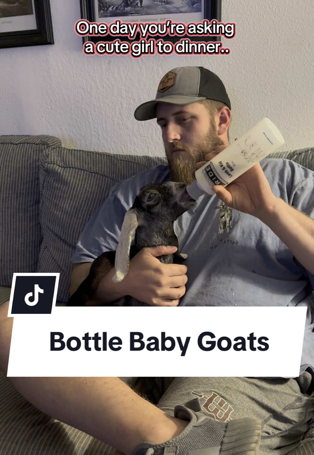 Nubian does have joined the herd!  My wife has been watching too much @Reid Homestead 🏡 😂 #foilhatgang #homesteading #bottlebaby #goats #babygoats #farmanimals #babyanimals #relatable #marriagehumor 