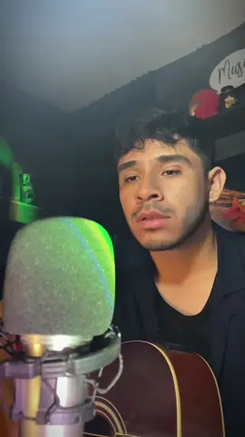 Mi fav  . . . . #birdsofafeather #billieeilish #ocover #canto #sing 