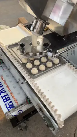 Automatic baozi machine,baozi size can be customized #foodmachinery #baozi #momo 
