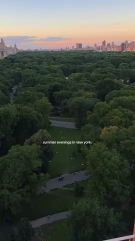 Nights like these are right around the corner and I couldn’t be more excited 🤍 #nyclife #centralpark #nycsummer #nycviews #nycphotography 