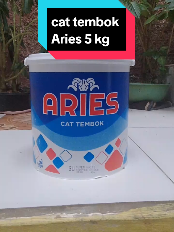 #cat #cattembok #aries #cat5kg #interior #catdinding 