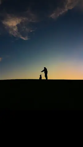 On a gentle hillside bathed in the warm hues of a setting sun, a silhouette of a girl kneels beside her puppy, creating a picture of pure companionship and joy. The sun dips low on the horizon, casting a golden light that outlines their figures against the vibrant sky, where shades of orange, pink, and purple blend seamlessly. The girl’s hair dances softly in the warm breeze as she leans down, her hand gently resting on the puppy's head, radiating affection and trust. The puppy, full of youthful energy, sits happily at her side, its outline mirroring the innocence and excitement of childhood. Together, they form a heartwarming tableau of adventure and discovery, relishing a moment of tranquility as the day comes to a close. This enchanting scene captures the essence of their bond and the fleeting nature of time, inviting onlookers to reflect on the simple yet profound joys of life experienced side by side in the glow of a breathtaking sunset. #nationalpuppyday #puppytiktok #puppydog #puppy #puppylife #silhuohette #photographer #femalephotographer 