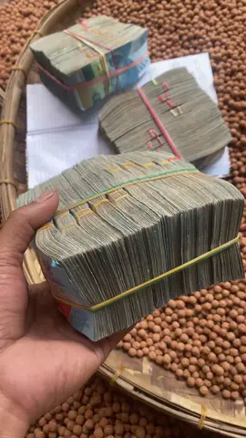 THR boss#jenitrijenitri#punyaorang#😜😜😜