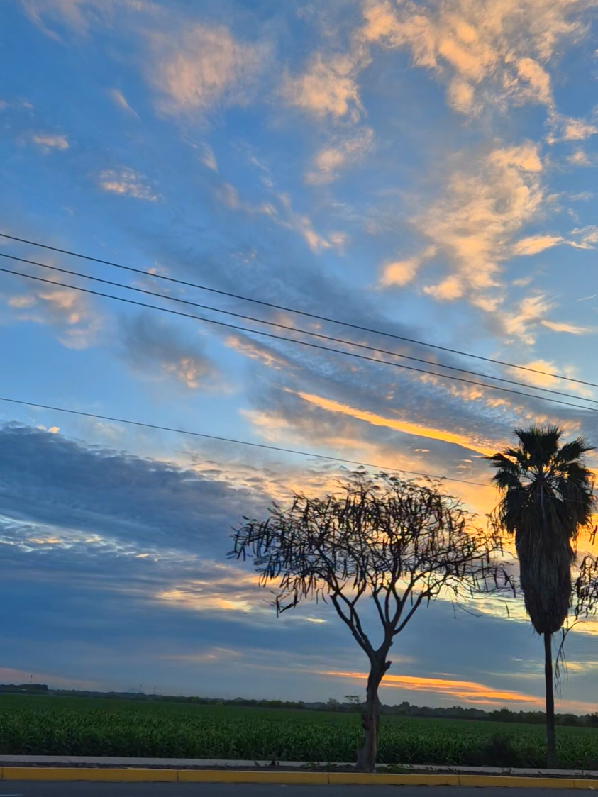 Un bonito amanecer 🌅 #amanecer #photography #sunrise  #paisajes #landscape #creatorsearchinsights 