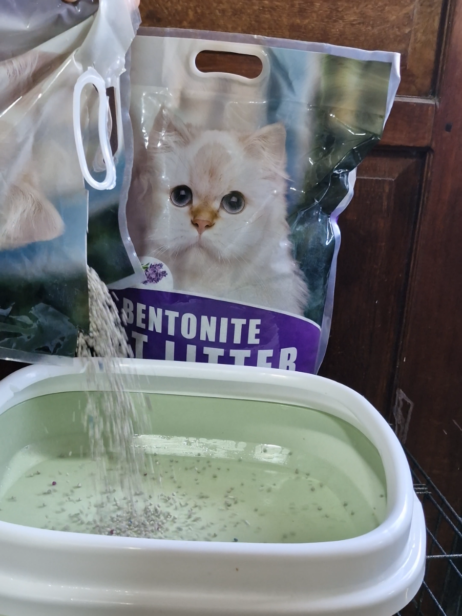 LAVENDER  10L/5L BENTONITE CAT LITTER #catlitter #lavendercatlitter #bentonite #bentonitecatlitter  #cat #catoftiktok #catlitter #followers #fyp 