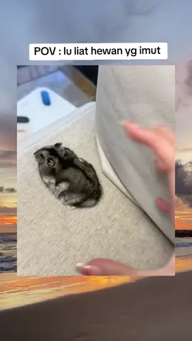 😍😍🤩😇😁😁#videohiburanngakak🤣🤣 #hanyahiburan #rameinngeb🗿😉👊🏻 #followlikekomenshare🤗😉💫👊🏻🗿 #fypppppppppppppppppppppppppppppppppppp #masukberandafypシ #ngakakID💫👊🏻 #sebuahperbedaan🗿👊🏻🗿 #ngakakID💫👊🏻 