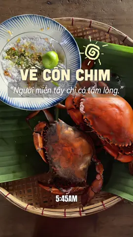Du Lịch Cồn Chim - Trà Vinh 🥰 #tayninhtravel #conchimtravinh #traveltiktok #xuhuong #xuhuongtiktok 