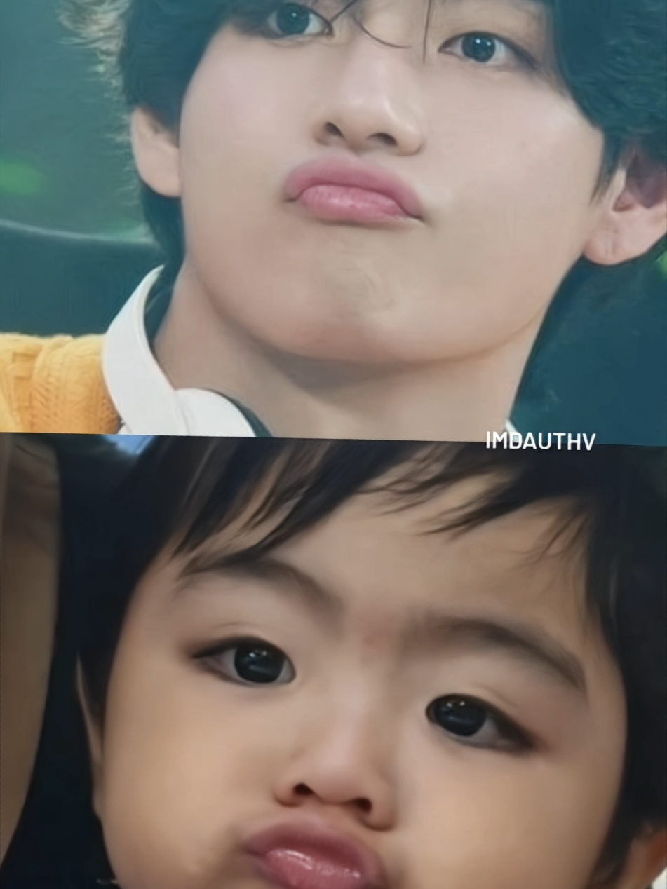 My favorite twins 😙😚🐯🧸 #taehyung #babysuho #bts #army #xuhuong #fyp #viral #dauthv 