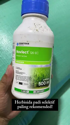 Bagi teman-teman petani, pasti sudah tidak asing dengan herbisida andalan ini, ya! 🌾 Novlect 120EC adalah salah satu herbisida padi selektif paling recomended untuk mengatasi gulma di tanaman padi. Produk ini terbukti efektif mengendalikan gulma dan menjaga tanaman padi tetap sehat. Kalau ada rekomendasi produk herbisida lain, yuk share di kolom komentar! 👇 Link untuk pembelian : https://tokopedia.link/aGU0z7WpZRb #PetaniIndonesia #PertanianModern #HerbisidaPadi #Novlect120EC #AtasiGulma #TipsPetani #SawahSehat #PadiHijau #PertanianSukses #PetaniMilenial