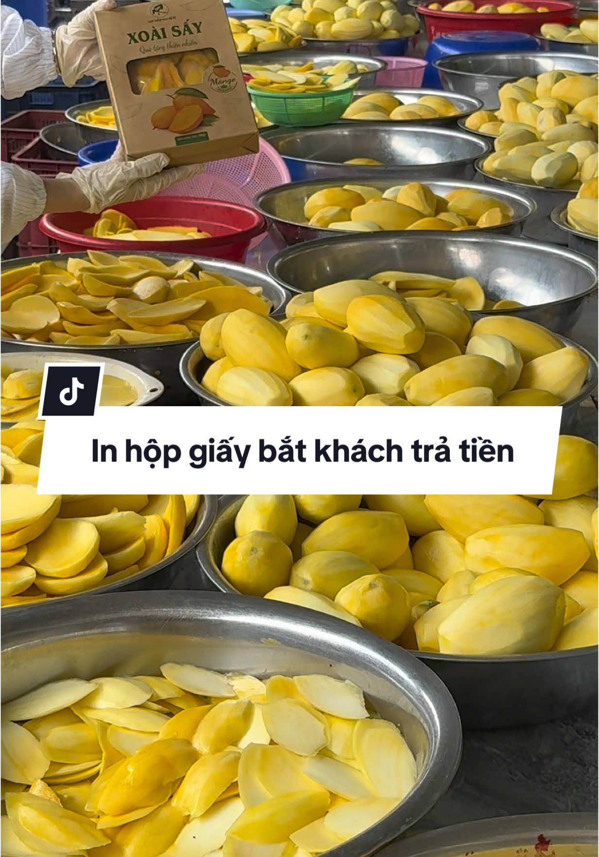 Trả lời @tieu_lyly68 Giá bán nhà Mẹ rô mọi người xem có đắt không hãy thắc mắc vấn đề này ạ#xoaisaydeo #thucphamsachmero 