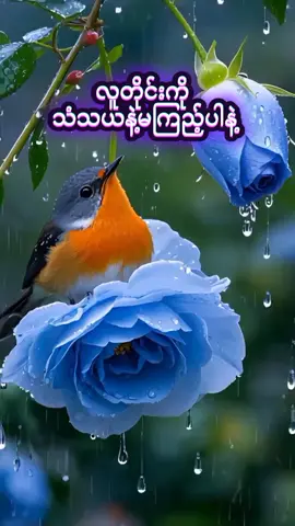 #လူတိုင်းကို သံသယနဲ့မကြည့်ပါနဲ့#စာပေဗဟုသုတ #🌹🌹🌹🌹🌹🌹🌹🌹🌹🌹🌅🌄🌅 