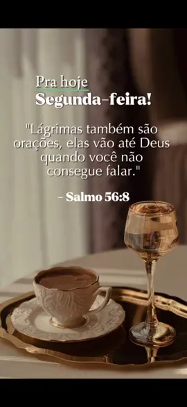 #bomdia #hinos #versiculobiblicos #louvorgospel #hinos #fycristão  #boasemana #bomdia #segundafeira #reflexãocristã  #mensagembiblicas #