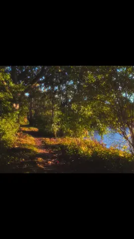 The gentle breeze in the evening, the path by the pond#HealingSeries #Memories 