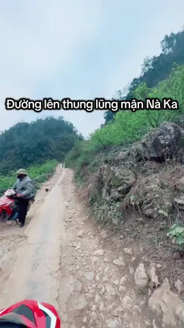 Đường lên thung lũng mận Nà Ka 