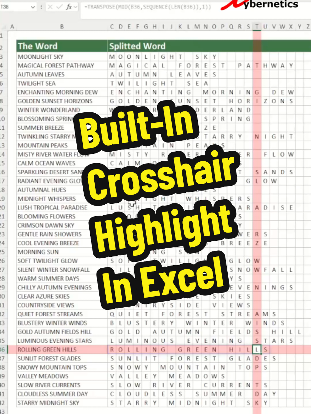 Built-In Crosshair Highlight In Excel - Excel Tips and Tricks Learn how to enable build-in crosshair highlight in Excel without VBA and conditional formatting. View ~ Show ~ Focus Cell #creatorsearchinsights #excel #tips #fyp 