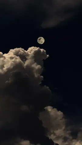 hasil dari menggabungkan 2 video 📷poco x3 nfc + apexel #skylovers #timelapse #nephophile #phonephotography #astrophotography #selenophile #astrophile 