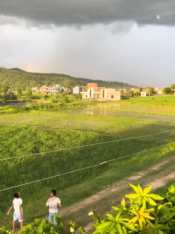 The View from my home💓🇳🇵I miss this place more than words can express.#sainamaina_rupandehi  #butwalmurgiya 