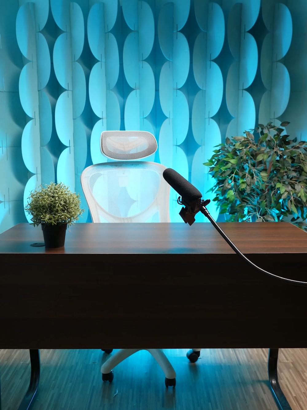 Ciptakan mood yang sesuai dengan karakter podcast kamu! Kombinasikan backdrop bertekstur dengan lighting RGB untuk menciptakan ambience lighting yang keren seperti ini. Be creative and create your own style! . . #colorgrooveid #createcolorfulmoments #studiobackdrop #podcast
