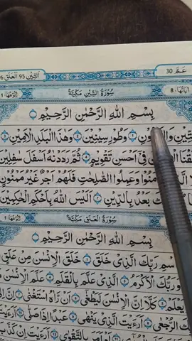 Surah ATTEEN ❣️💐with lailatul Qadar duwa prayer 🤲🏻🙏🏻#foryoupage #foryoutrick #tajwid #🤍 #quranrecitation #quran_alkarim #quran #viral 