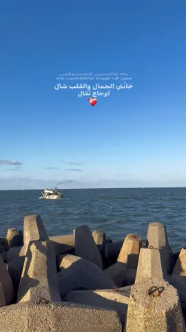 ❤️‍🩹 #tamerashour #yaah #explore #fyp #viral #fypp #raselbar @Tamer Ashour 