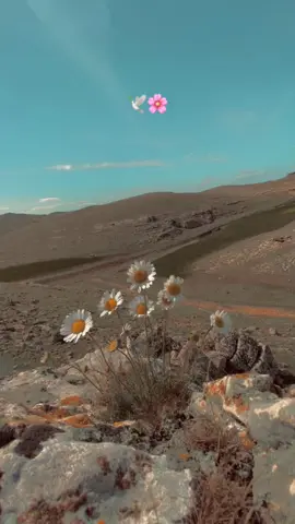 Storlik❤️‍🩹🕊️#kesfet #keşfetimiaçtiktok #anlamlısözler #storytime #storilikvideolar #storm #keşfetedüş #storlikvideolar📌 #keşfetyimmmmmmmmm #kürtçeşarkılar 