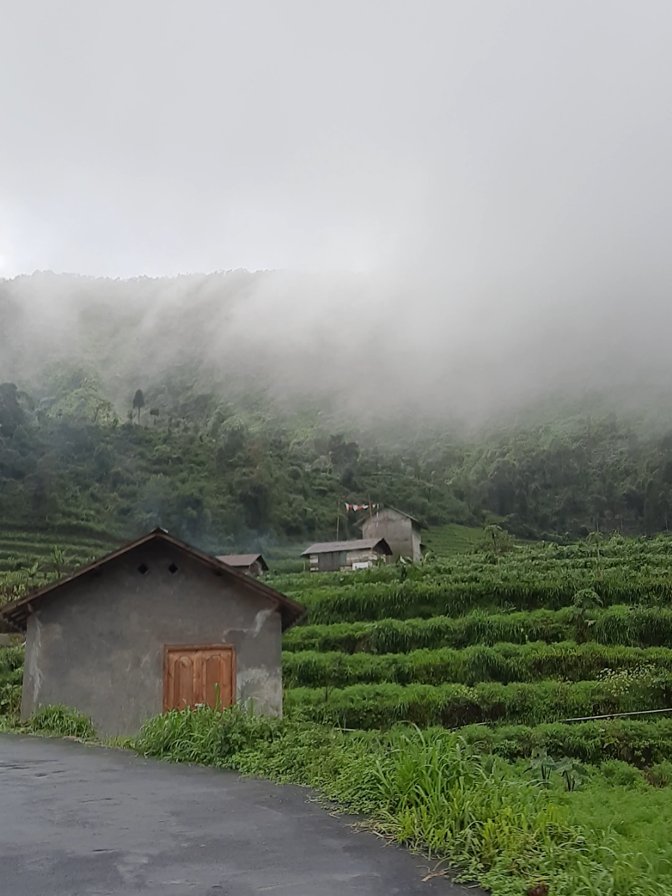 Petungkriono, Pekalongan, Jawa Tengah. On our way to Telaga Mangunan🌱🌿☁️ #Nature #TelagaSigebyarMangunan #TelagaMangunan #Roadtrip #Indonesia #Travelling #Traveller 