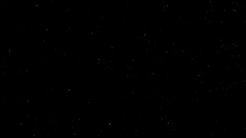 سوي تالك الـ فله😅❤️. . . . #فهد_نوري #كامل_مفيد #تصاميم_فيديوهات🎵🎤🎬 #شاشة_سوداء🖤 #اغاني_مسرعه💥 #ديموند💎 #شنو_سر_هالكائن_ماادري #كاضم_الساهر🎶🎵🎤🔚 #يابه_يابو_عيون_جذابه🇮🇶 #مجرد________ذووووووق🎶🎵💞 #تركضلي_تركضلي_وفاتح_ايدك✨🤍 #تابعوني_رح_نزل_شي_جديد 