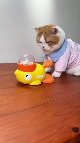 🦆🐾 **Snack time just got *quack-tastic*!** 🎉 Turn mealtime into playtime with the **DUCEK Little Yellow Duck Feeder Toy**—your cat’s new favorite puzzle pal! 🧩✨ Spin the duck, release the treats, and watch your clever kitty *hunt* for their kibble like the tiny predator they are. 🕵️♀️🍪  👉 Swipe to see how it *slows down eating* and burns energy (bye-bye, midnight zoomies!).  👉 Interactive design + durable materials = endless fun for curious cats *and* entertained humans. 🙌  💬 Comment “QUACK” below to treat your feline to a snack-filled adventure! 🐱🎣  🛒 Tap the link in bio to grab yours—*because even meals deserve a game!* 🦆🚀  #CatToys #PuzzleFeeder #DUCEK #InteractivePlay #CatLovers #SlowFeeding #BrainGames #HappyKitty  —  **P.S.** Warning: May cause *extreme* paw-tapping and duck obsession. 😼🦆  —  *Let me know if you’d like to add material details, sizing, or a promo code!* 🛠️🎁
